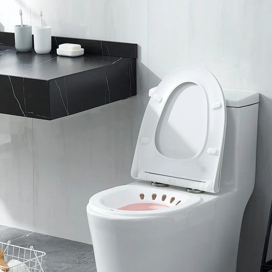 Pregnant Women Hemorrhoid Hot Tub Bath Bidet Flusher KidsTopia Baby Essentials