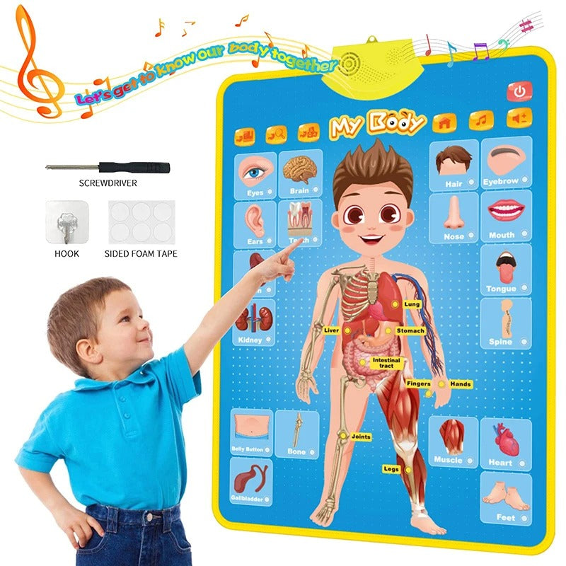 Electronic English Alphabet Wall Chart Talking ABC Letters 123s Music Poster Educational Learning Toy for Toddler Kids Gifts KidsTopia Baby Essentials